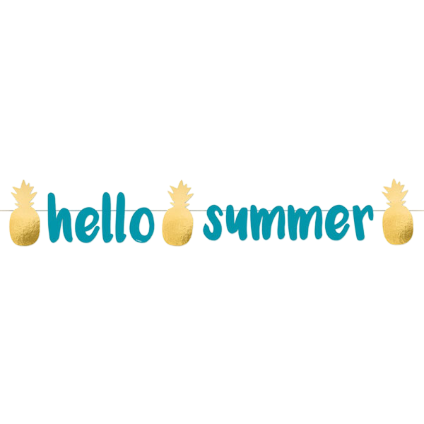 Banner Pineapple Vibes